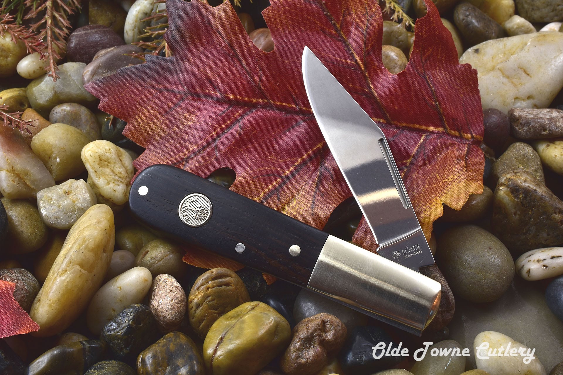 Boker Core Bird's Beak Peeling Knife 2.75 Blade, Walnut Wood Handle -  KnifeCenter - 130725