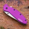 Kershaw 1620PUR Scallion A/O Purple