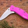Kershaw 1600PINK Chive A/O Pink Handle