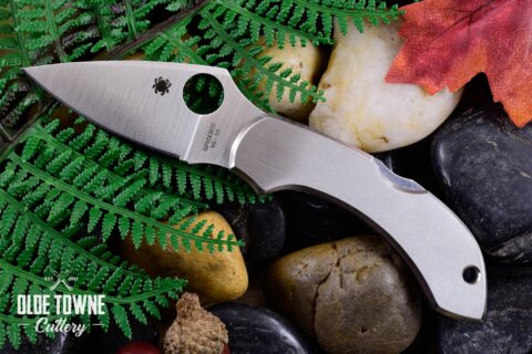 Spyderco SC28P Dragonfly Stainless Lockback* Spyderco SC28P Dragonfly Stainless Lockback*