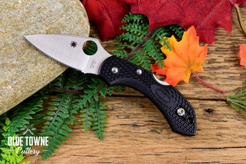 Spyderco SC28PBK2 Dragonfly 2 Spyderco SC28PBK2 Dragonfly 2