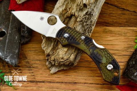 Spyderco SC28ZFPGR2 Dragonfly 2 Zome Spyderco SC28ZFPGR2 Dragonfly 2 Zome