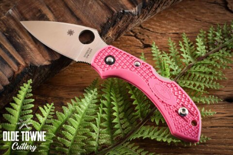 Spyderco SC28FPPNS30V2 Dragonfly 2 Pink Spyderco SC28FPPNS30V2 Dragonfly 2 Pink