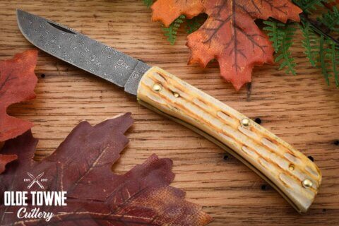 W.R. Case and Sons 27235 Sod Buster Burnt Bone*