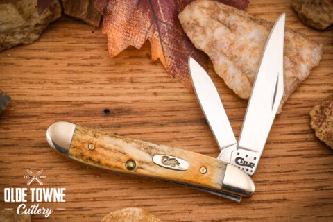 Vintage W.R. Case Peanut Stag 54N